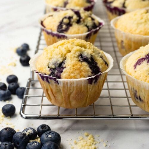 Blueberry muffins - Sugar Pursuit