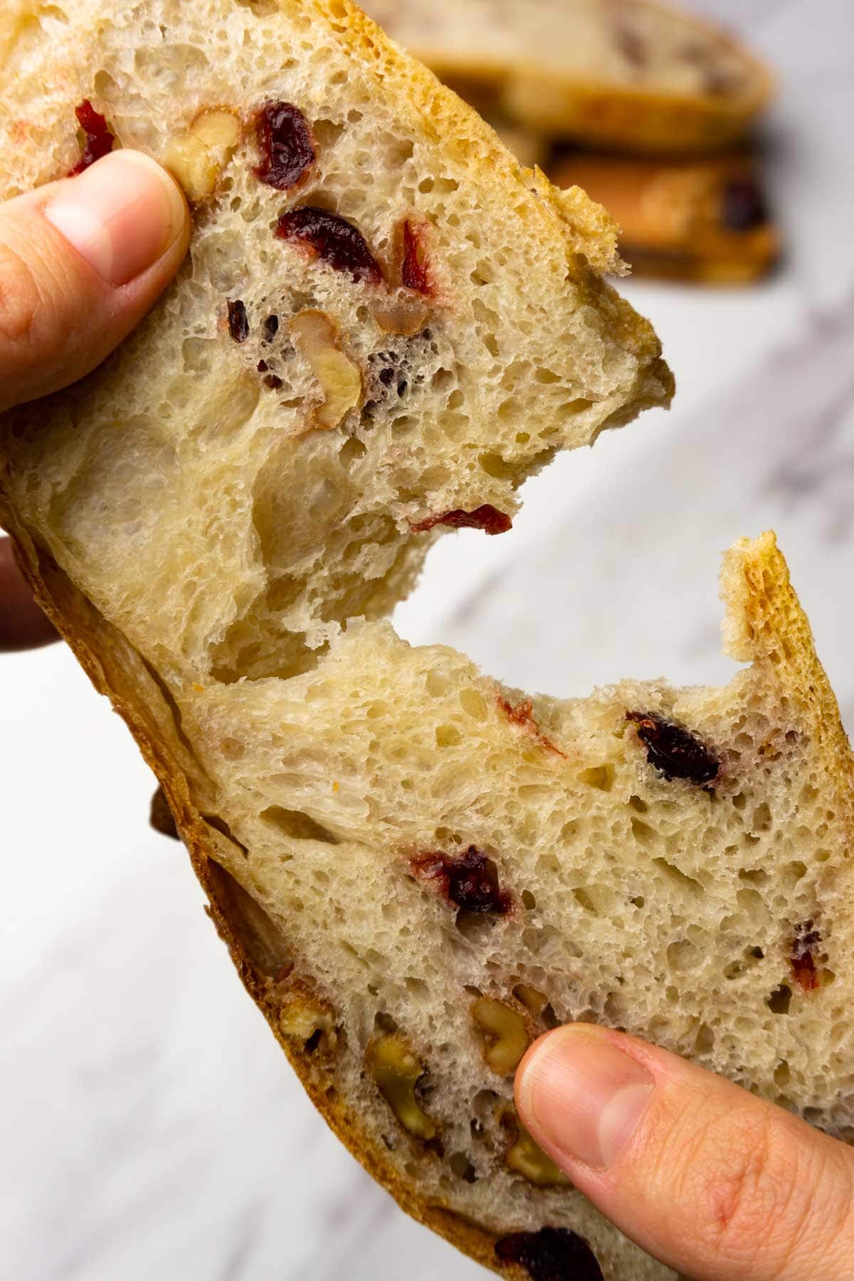 Hands are ripping apart a piece of bread with cranberries and walnuts.