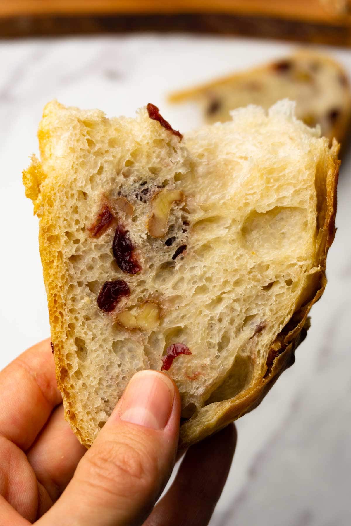 A hand is holding a piece of cranberry walnut bread.