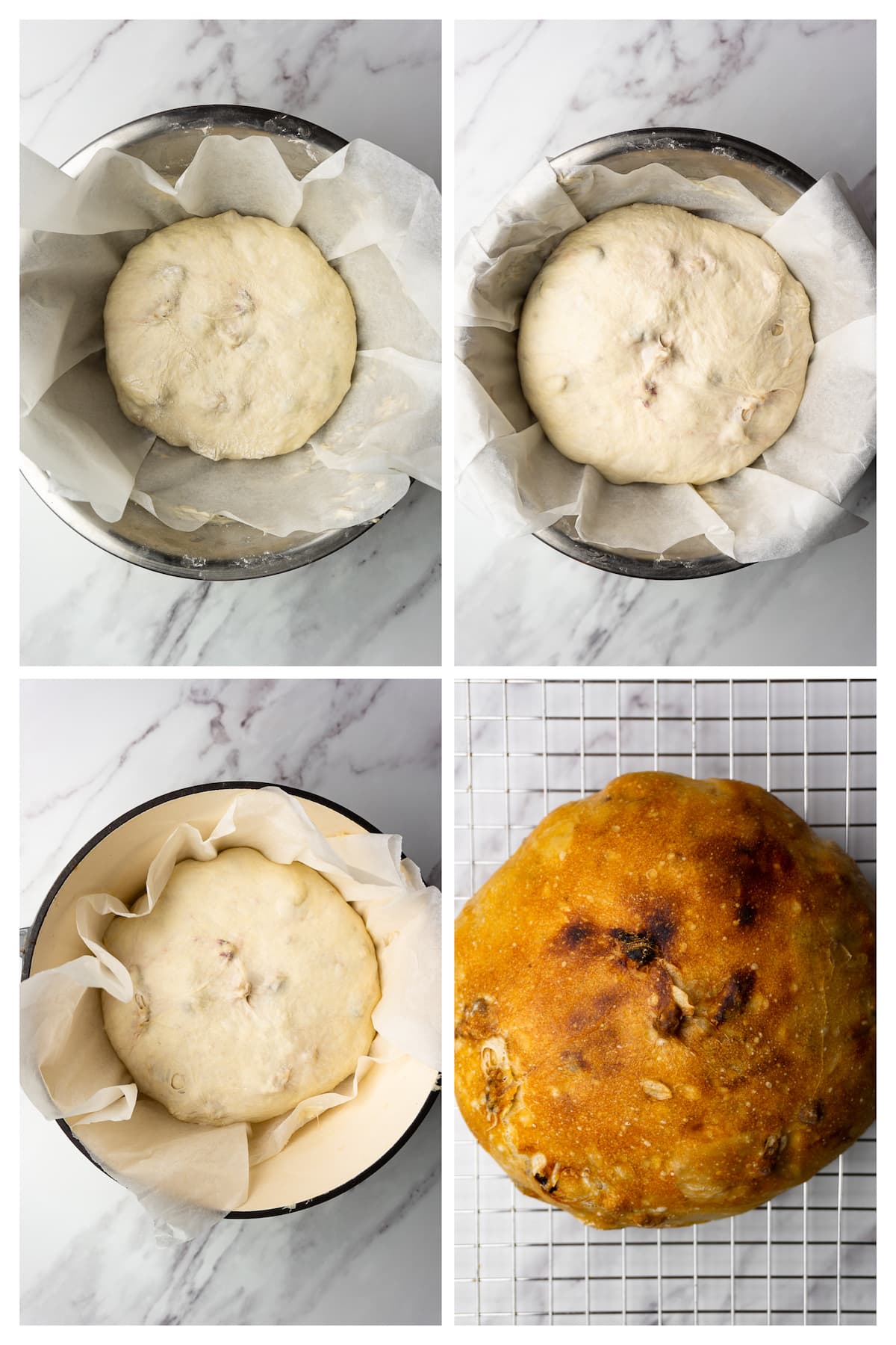 Collage image showing four steps to proof and bake bread with cranberries and walnuts.