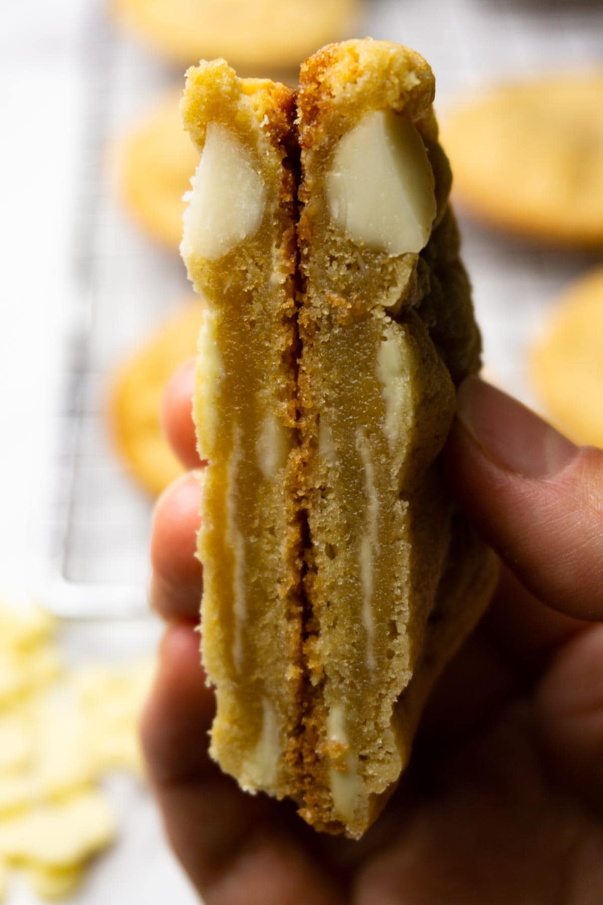 A hand is holding a cut in half cookie with white chocolate and macadamia nuts.