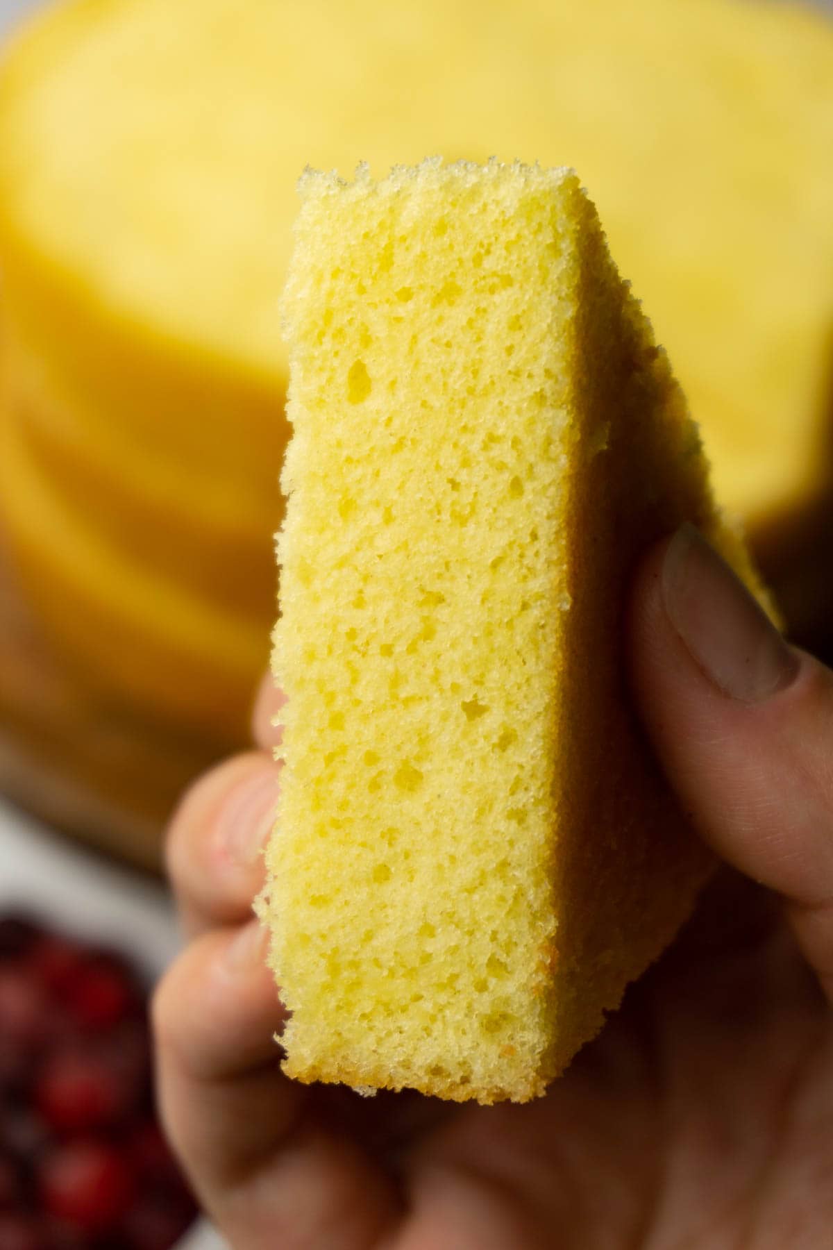 A hand is holding a triangle piece of genoise sponge.