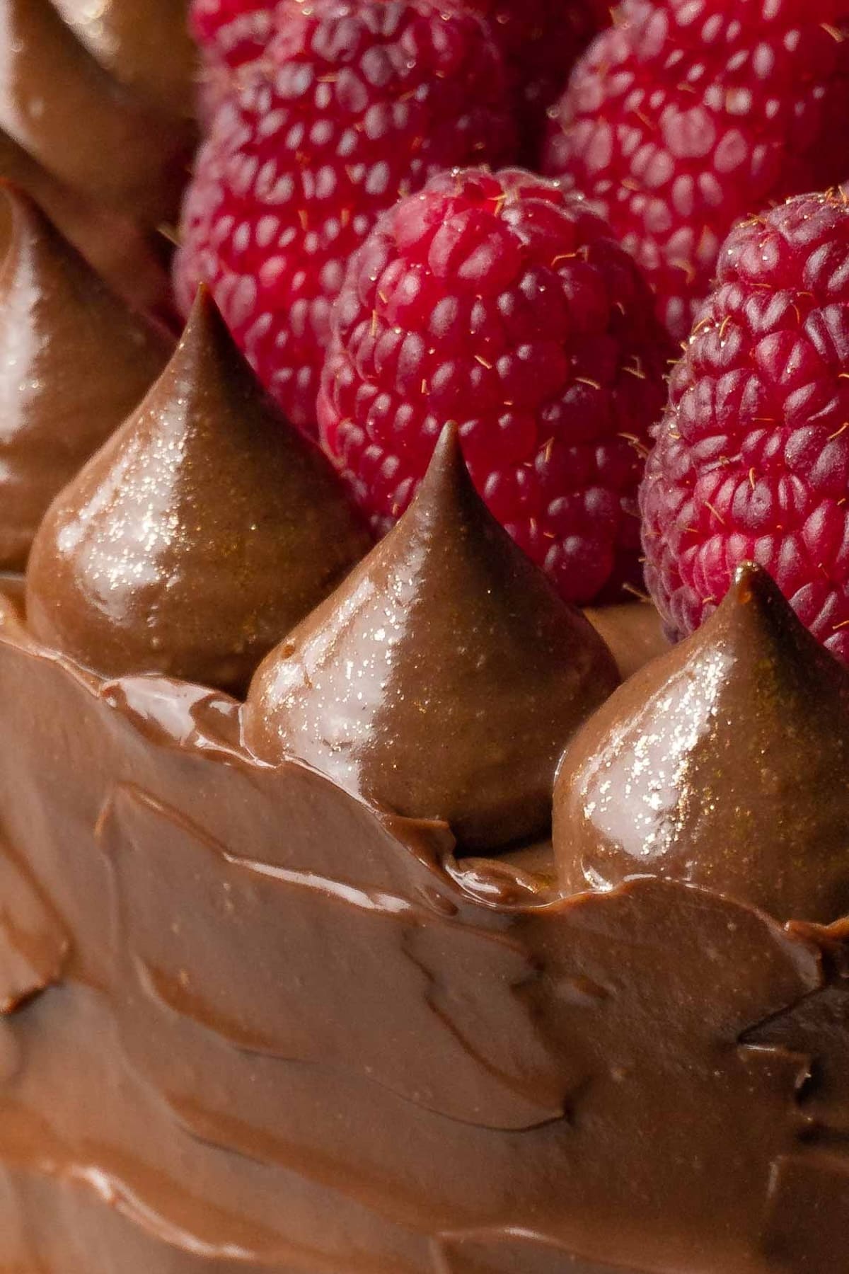 The top of the cake is decorated with chocolate cream piped elements and fresh raspberries.