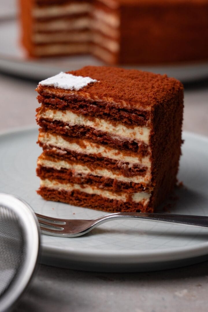 Heart shaped cake - Sugar Pursuit